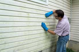 Professional Siding in Alvarado, TX